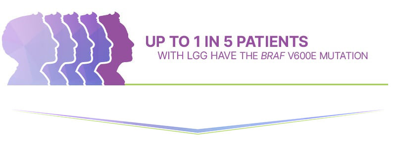 Up to 1 in 5 patients with LGG have the BRAF V600E mutation