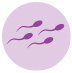 Low sperm counts icon