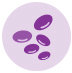 Healthy red blood cells breaking down too soon icon