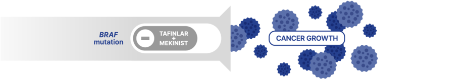 Melanoma cancer cells with BRAF mutation growing