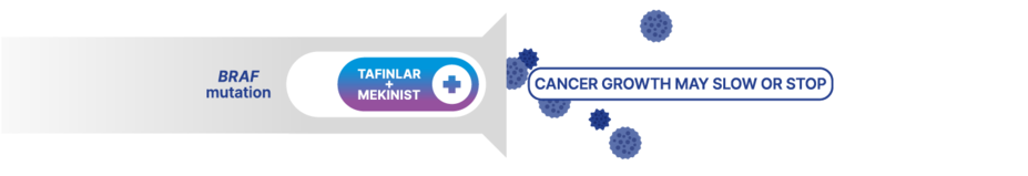 TAFINLAR + MEKINIST stopping the growth of certain melanoma cancer cells with BRAF mutation